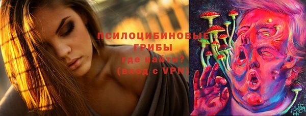 a pvp Армянск