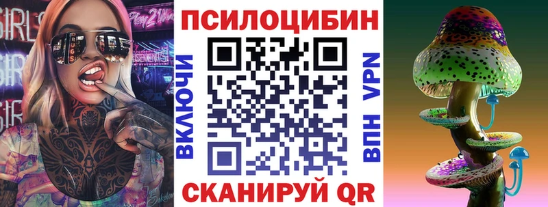 Псилоцибиновые грибы Cubensis  Таштагол 